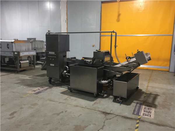 果蔬清洗機(jī)，有效清洗，過濾泥沙