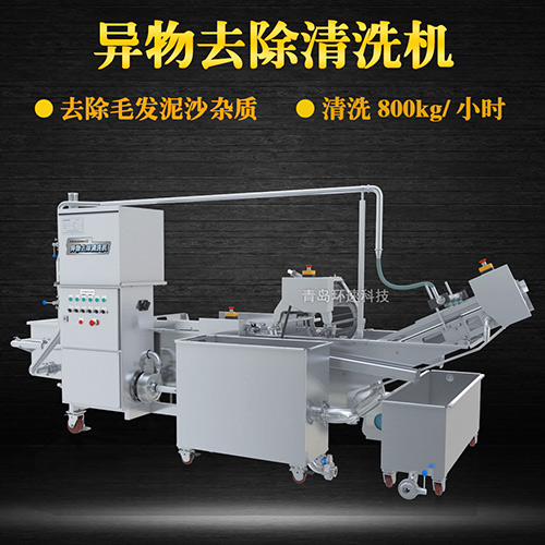 商用專業(yè)果蔬清洗機(jī)，氣泡清洗，清洗800kg小時(shí)